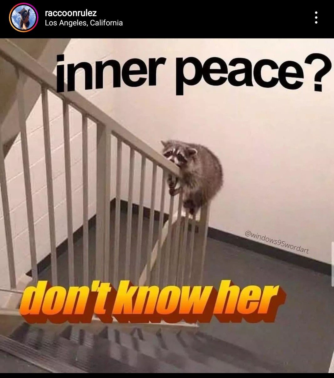 Screenshot_20220617-171100_Instagram_1.jpg