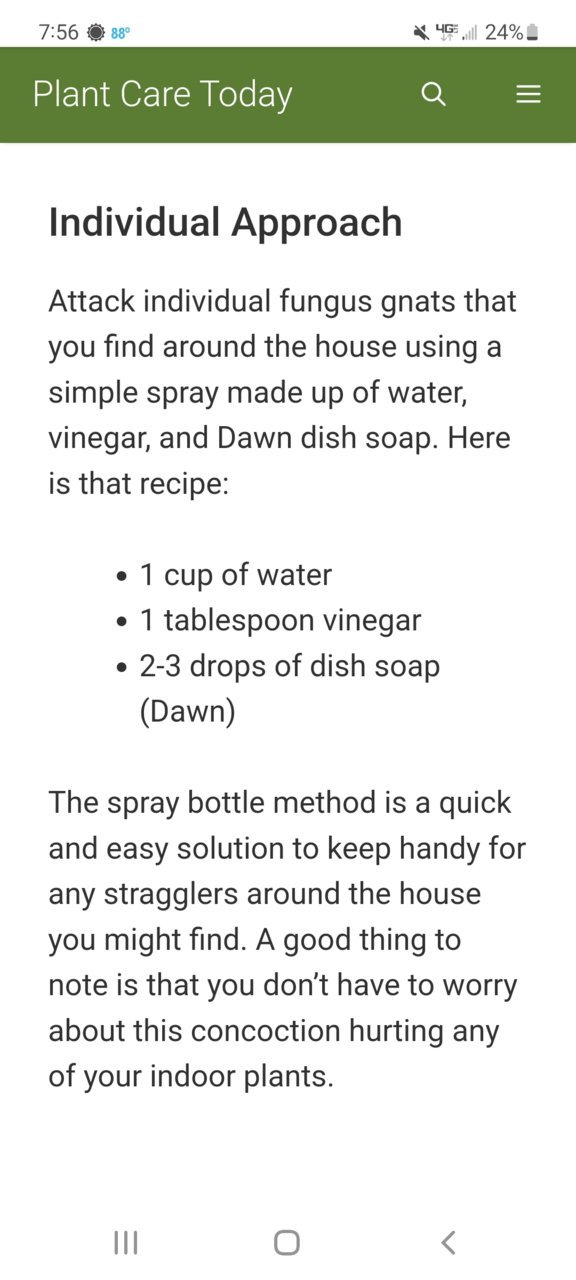 Screenshot_20220629-195659_DuckDuckGo.jpg