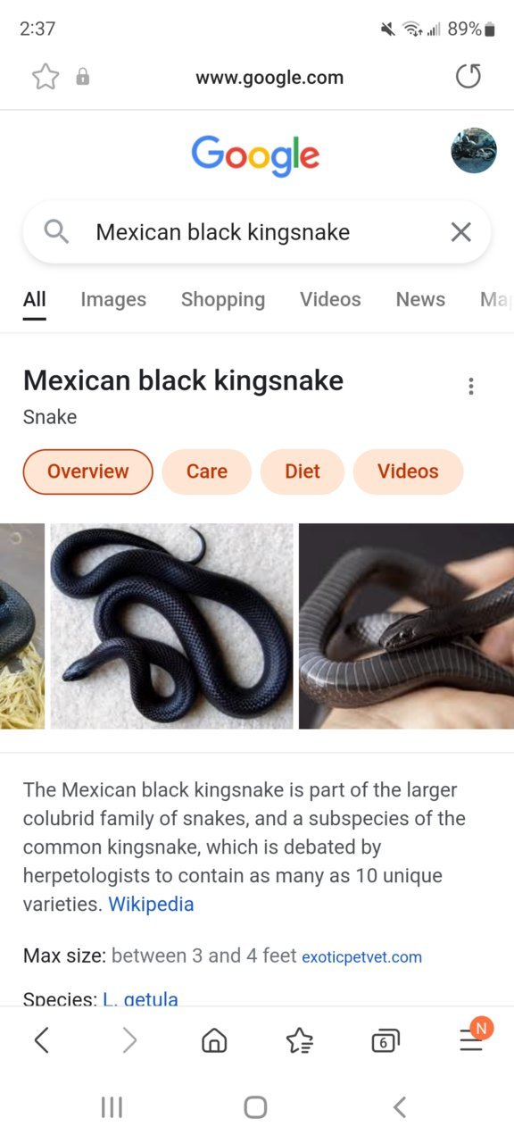 Screenshot_20220724-143718_Samsung Internet.jpg