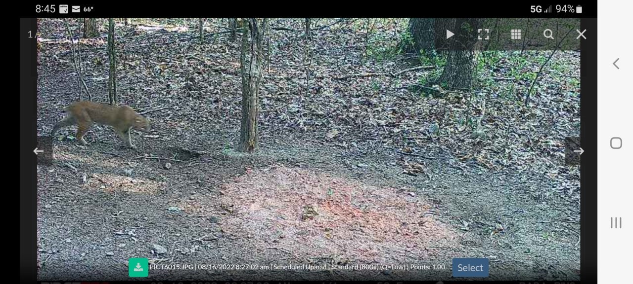 Screenshot_20220816-084531_RidgeTec Mobile.jpg