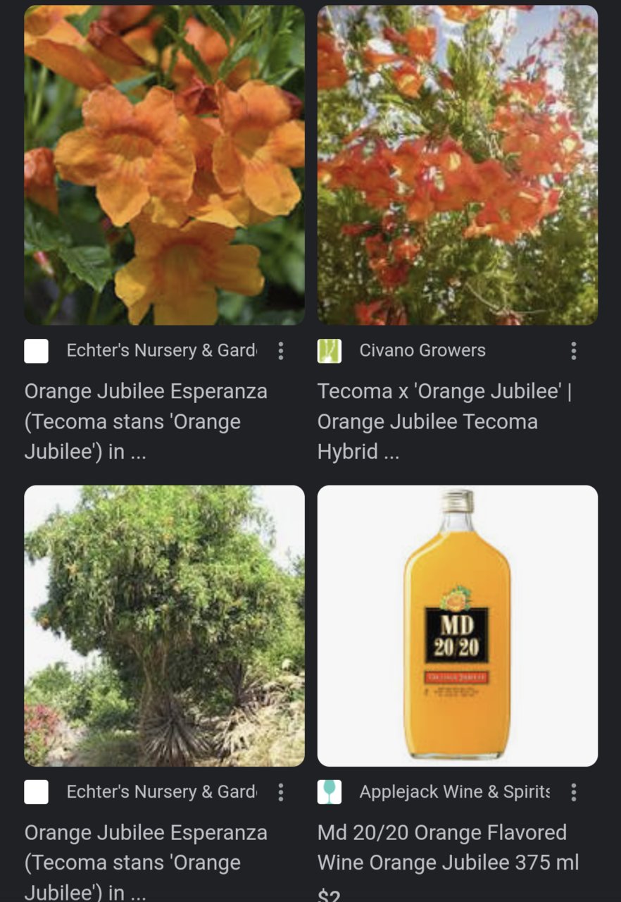 Screenshot_20220824-195310.jpg