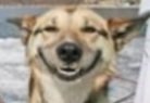 Screenshot_20220917-074519_DuckDuckGo.jpg