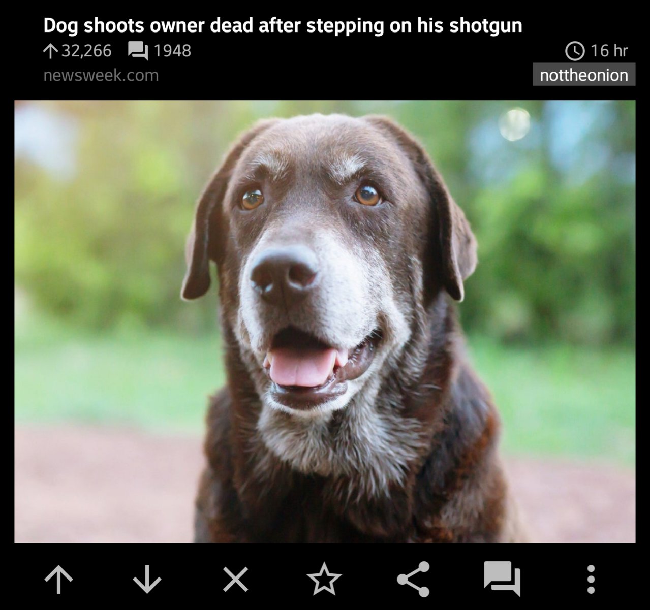 Screenshot_20221129-151321~2.jpg