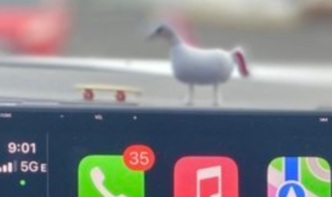 Screenshot_20221213_214058_Chrome.jpg