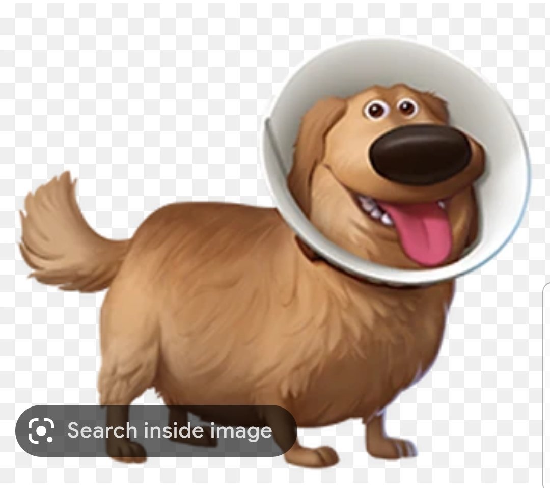 Screenshot_20230125-135101_Google.jpg