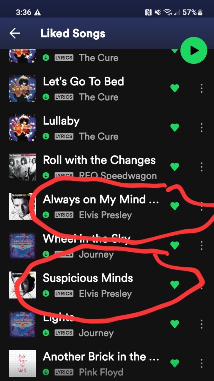 Screenshot_20230216_033632_Spotify.jpg