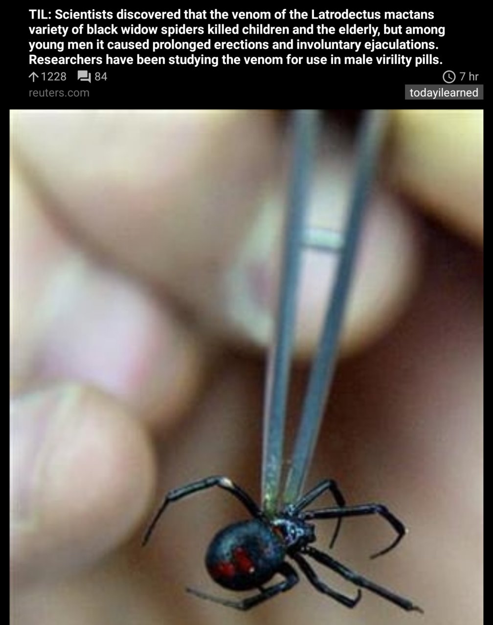 Screenshot_20230423-001813~2.jpg