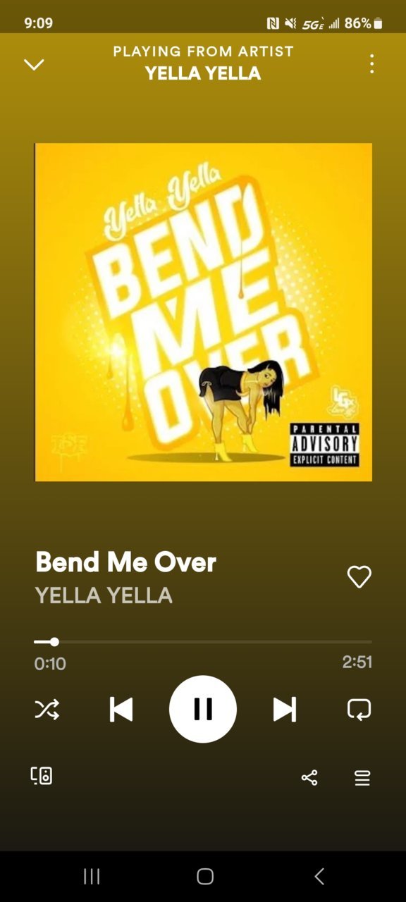 Screenshot_20230711_090956_Spotify.jpg