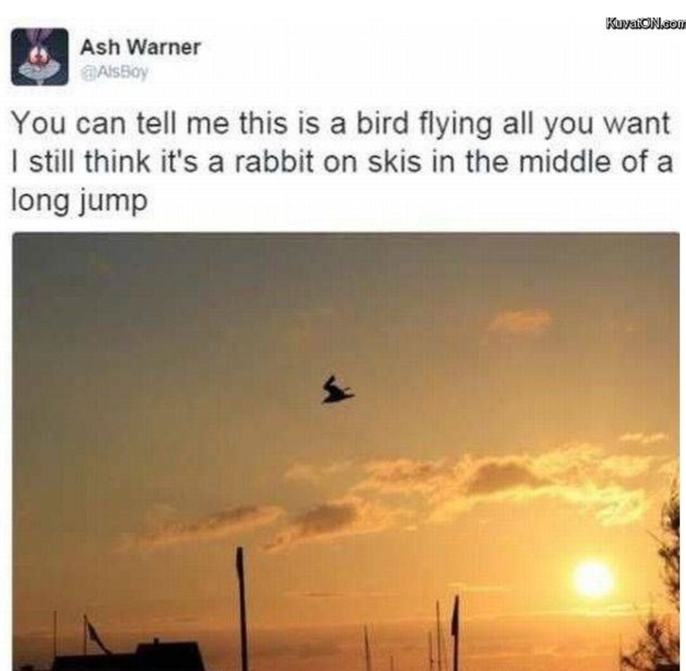 Screenshot_20230720_141507_DuckDuckGo.jpg