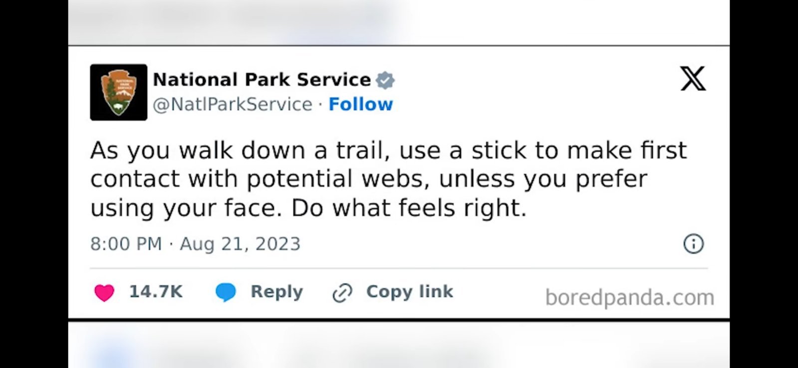 Screenshot_20240204_182542_YouTube.jpg