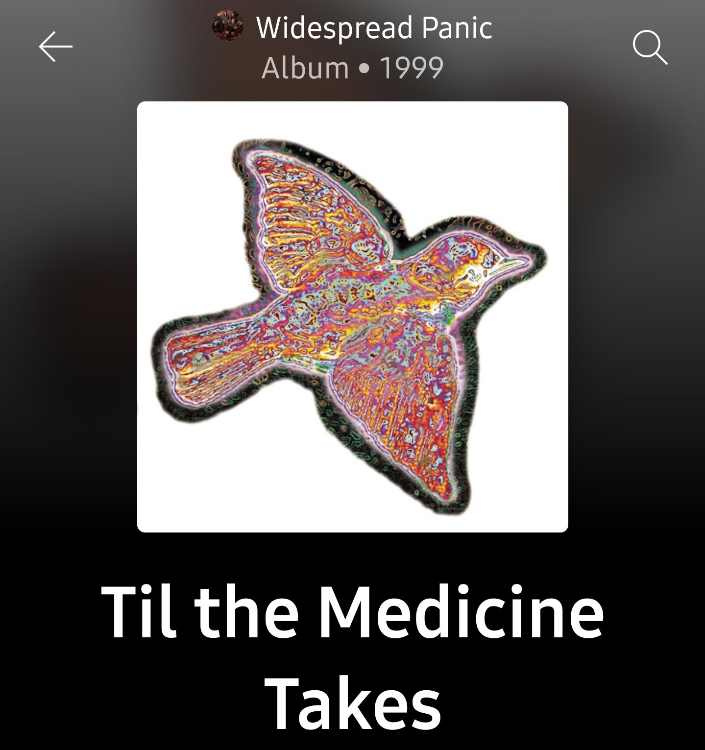 Screenshot_20240227_155842_YouTube Music.jpg