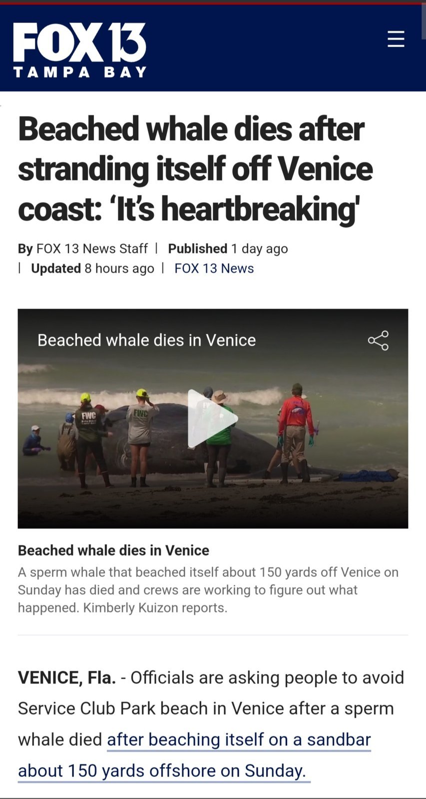 Screenshot_20240312_190202_Chrome.jpg