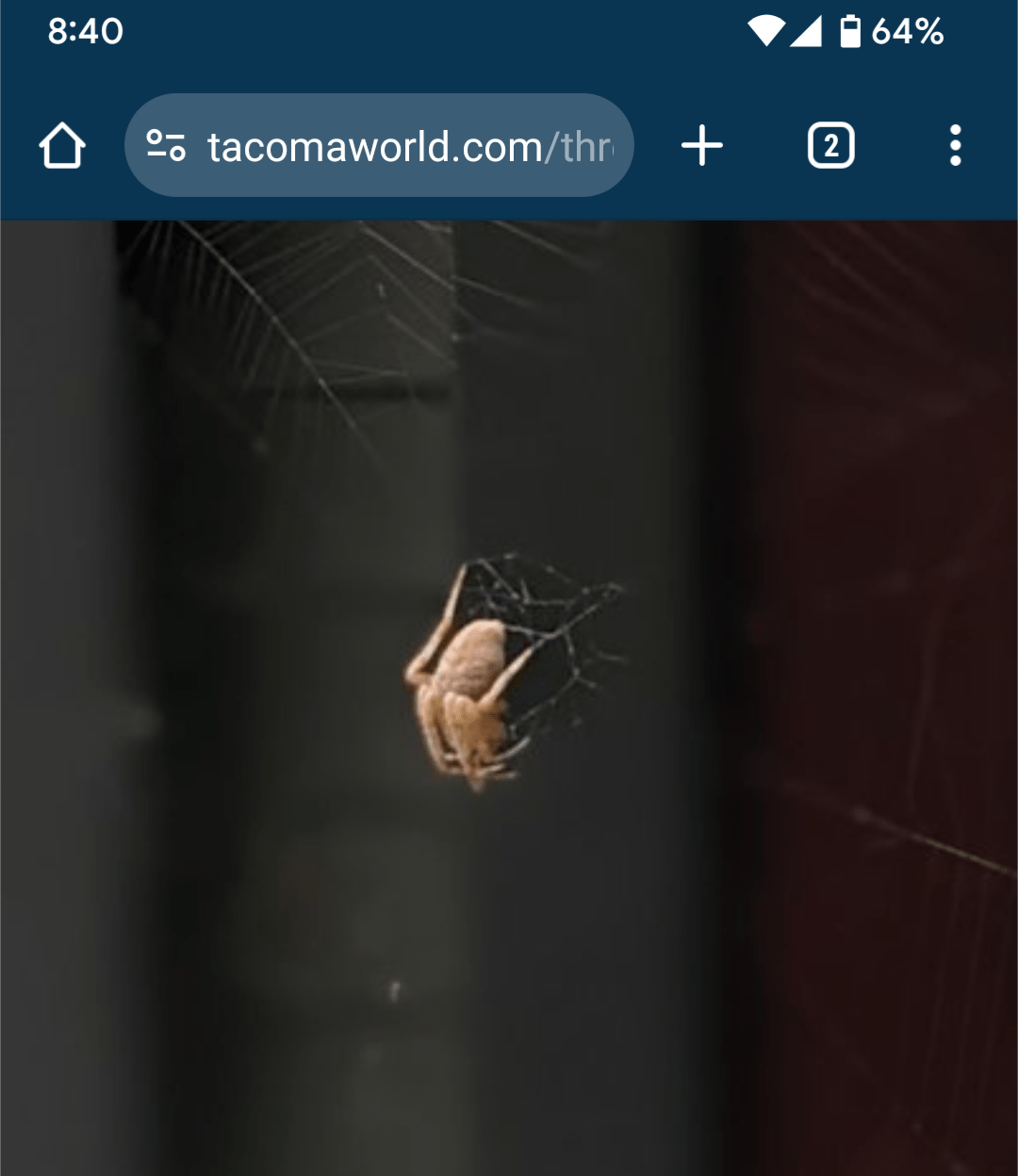 Screenshot_20240321-204018.png