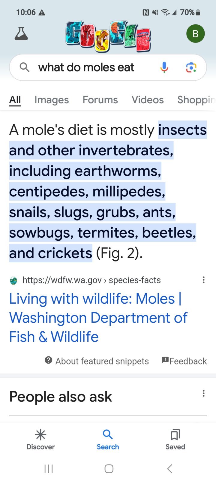 Screenshot_20240420_220642_Google.jpg