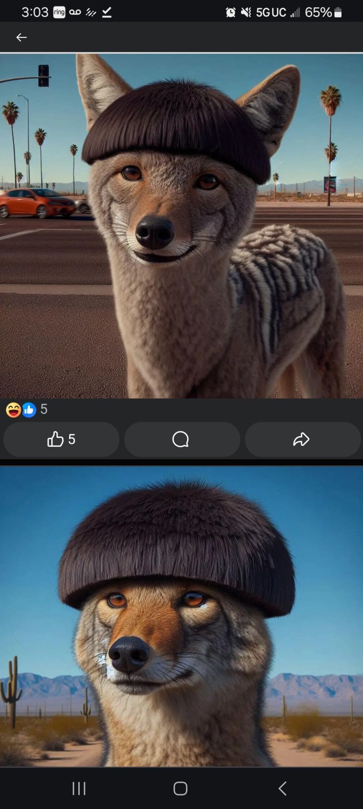 Screenshot_20240609_150324_Chrome.jpg