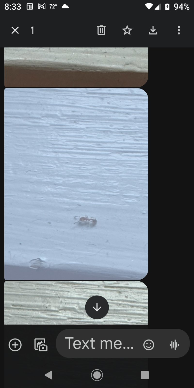 Screenshot_20240722-203310.png