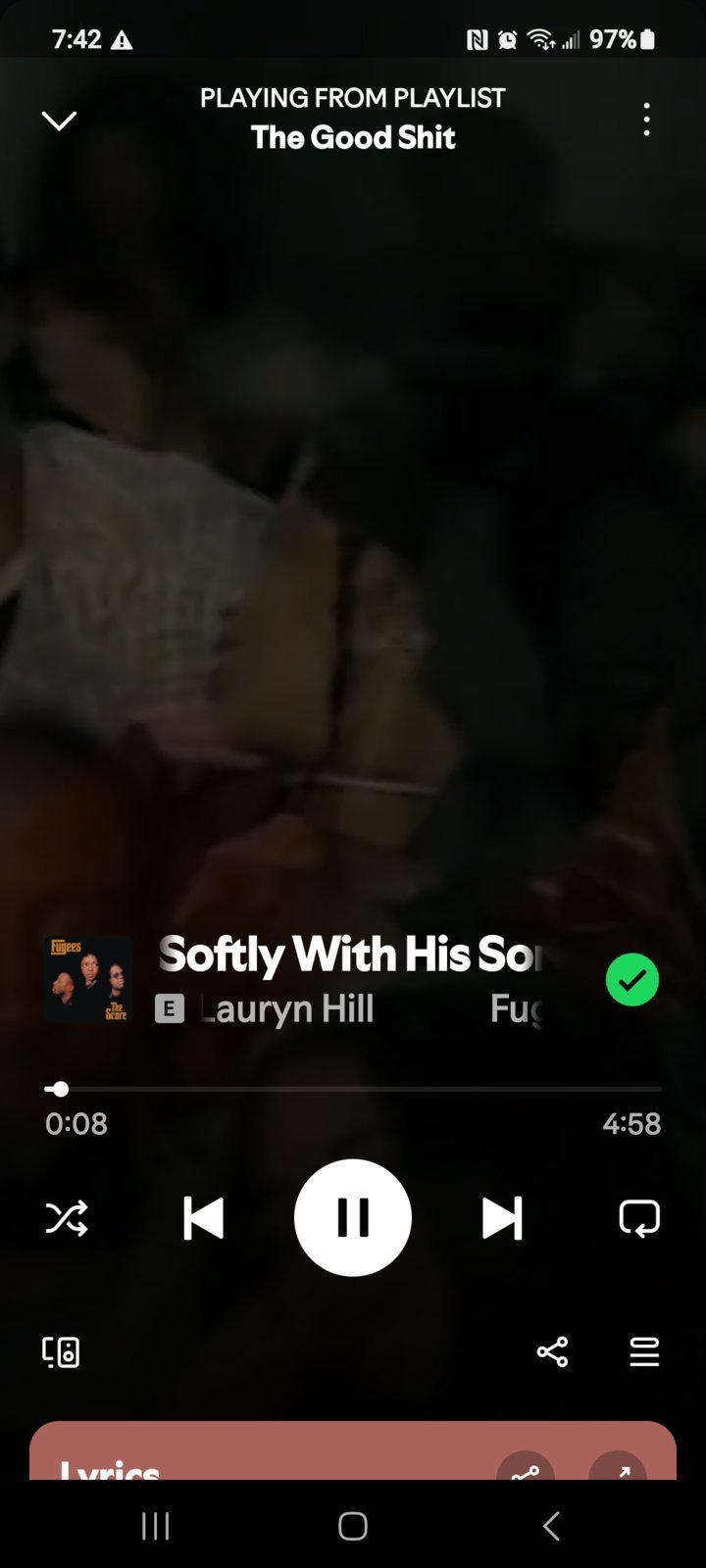 Screenshot_20240729_194200_Spotify.jpg