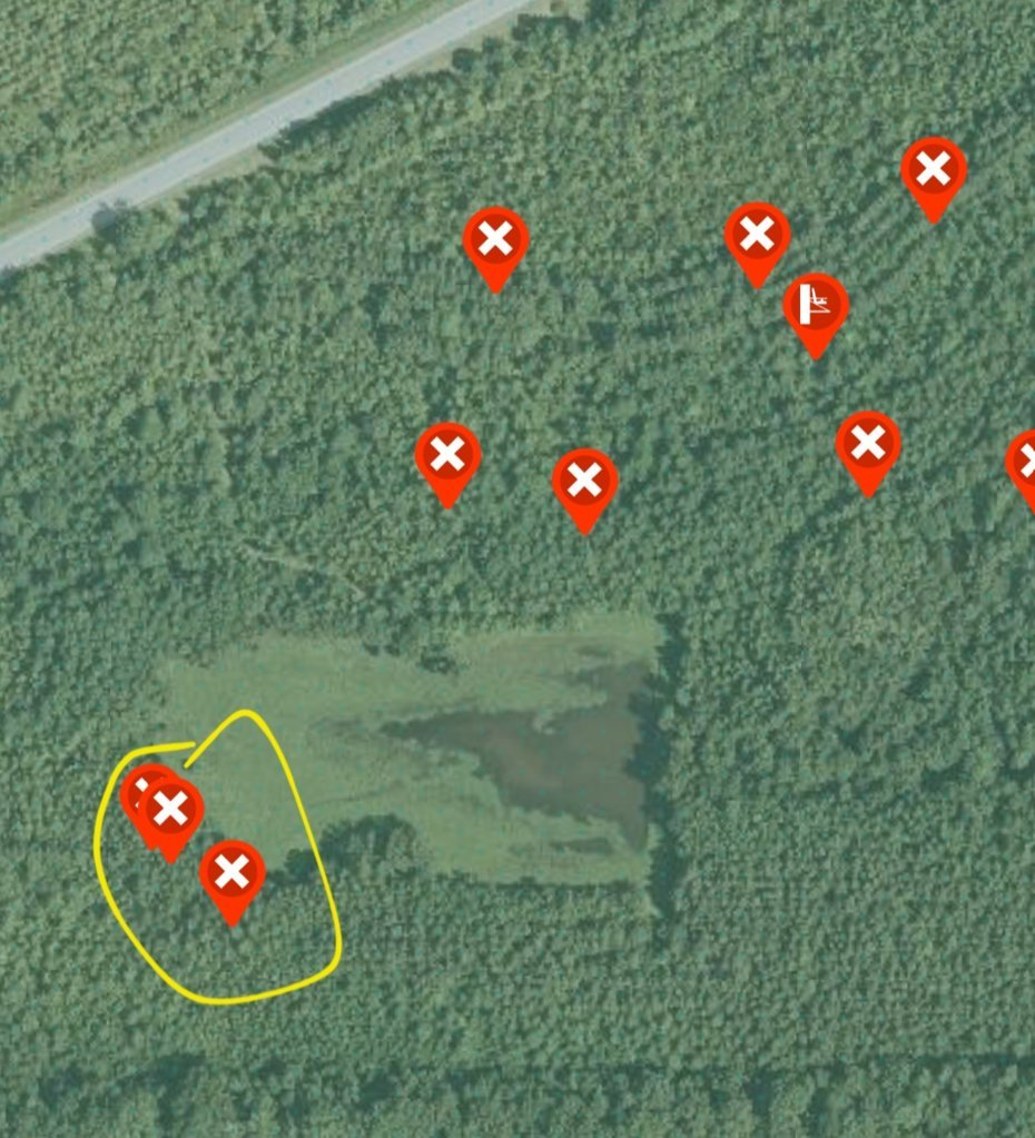 Screenshot_20241027_195434_onX Hunt.jpg