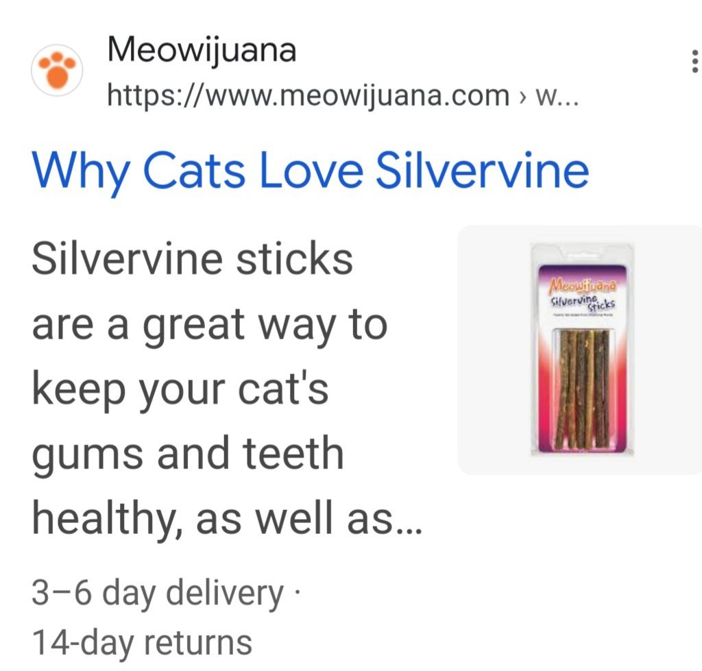 Screenshot_20250104_135942_Google.jpg