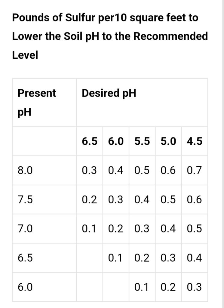Screenshot_20250123_130602_DuckDuckGo.jpg