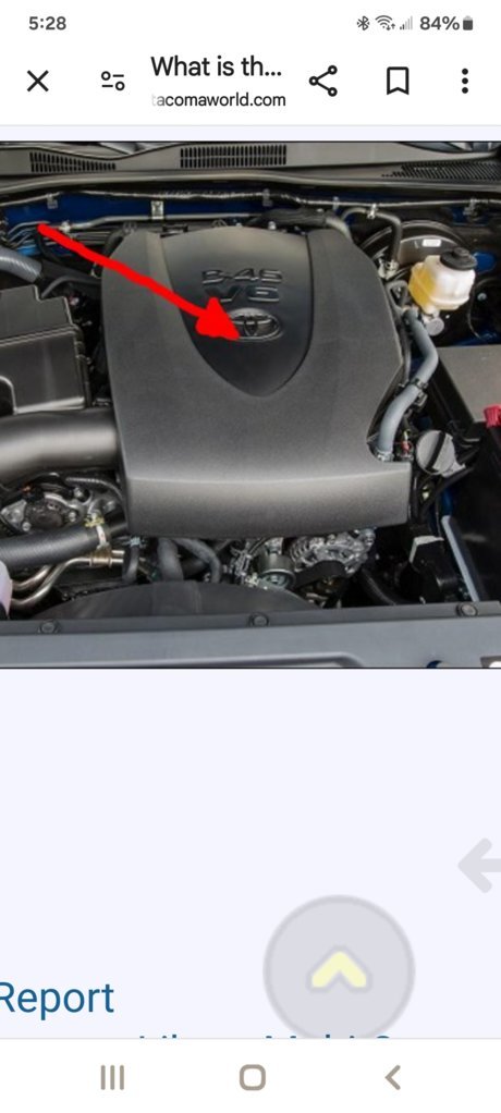 Screenshot_20250216_172825_Chrome.jpg