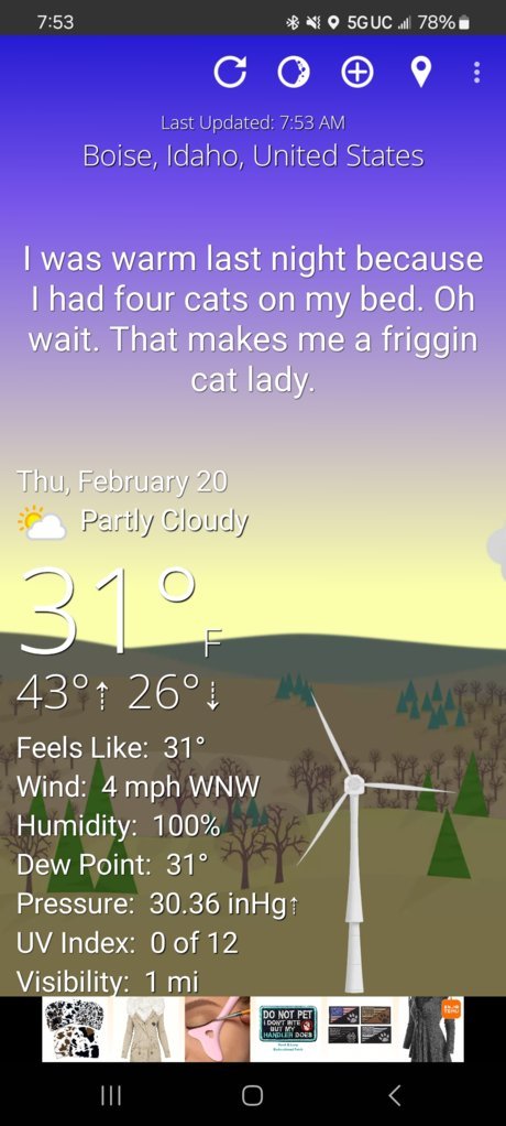 Screenshot_20250220_075319_WTForecast.jpg