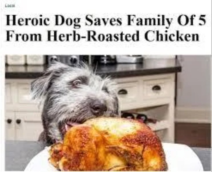 Screenshot_20250304_183648_DuckDuckGo.jpg