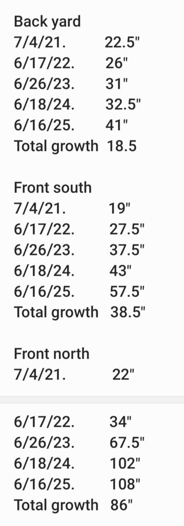 Screenshot_20250616_165026_Samsung Notes.jpg
