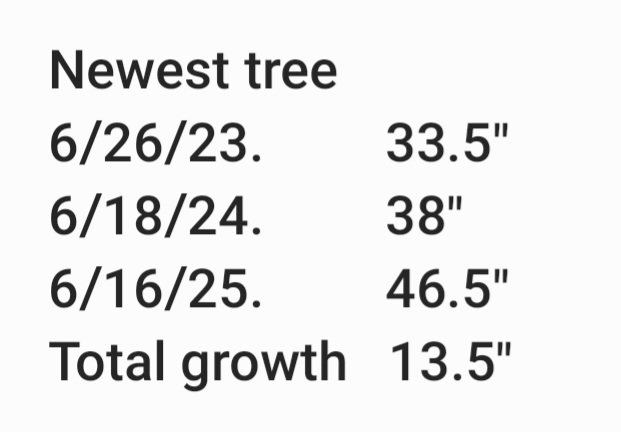 Screenshot_20250616_165034_Samsung Notes.jpg