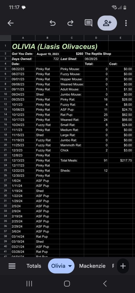 Screenshot_20250810_111723_Sheets.jpg