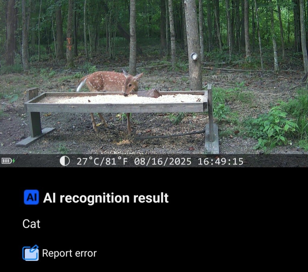 Screenshot_20250816_181014_TrailCam Go.jpg