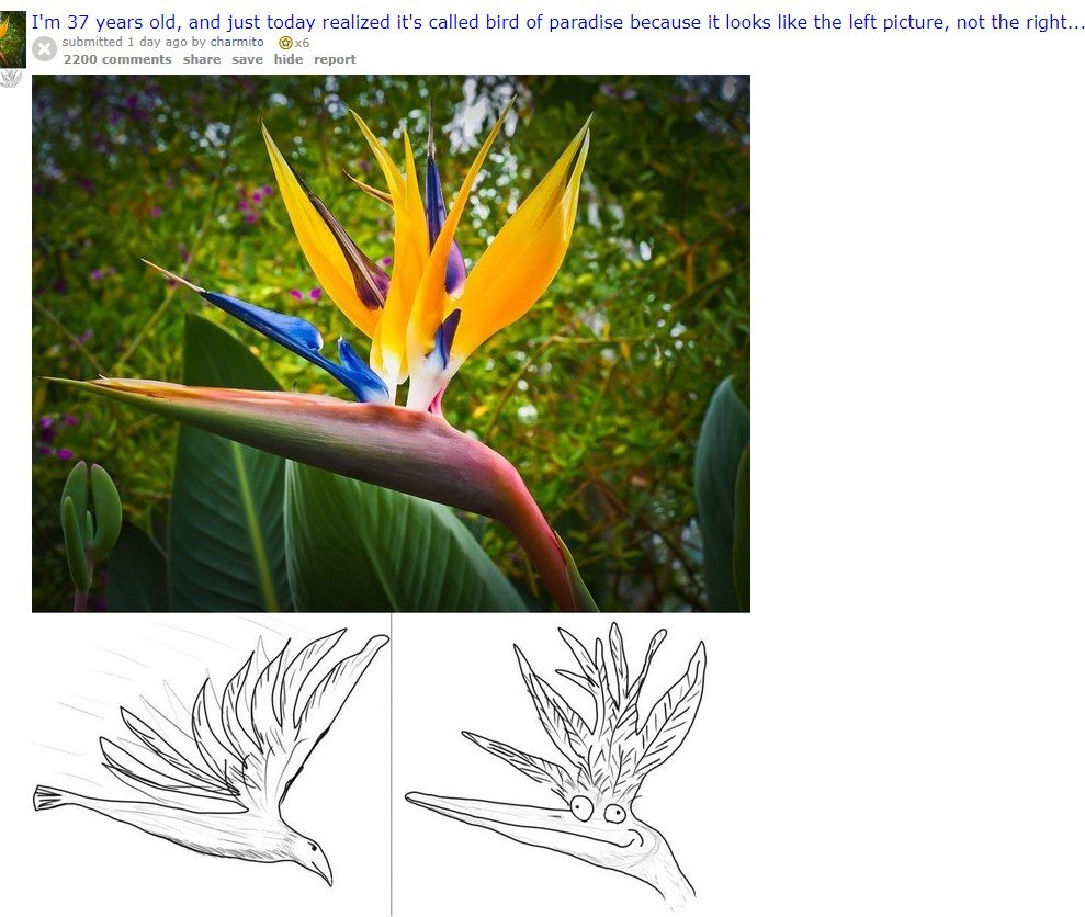 Screenshot_98.jpg