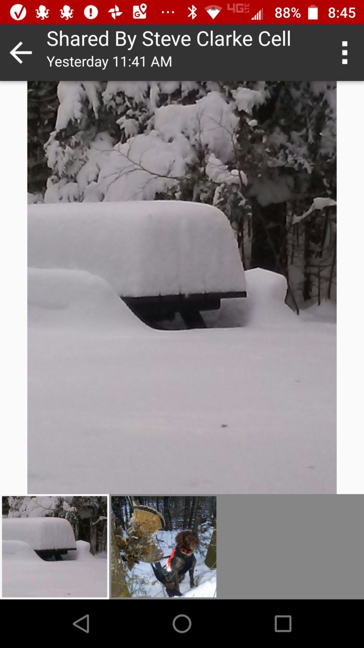 Screenshot_steve snow jan 6.jpg