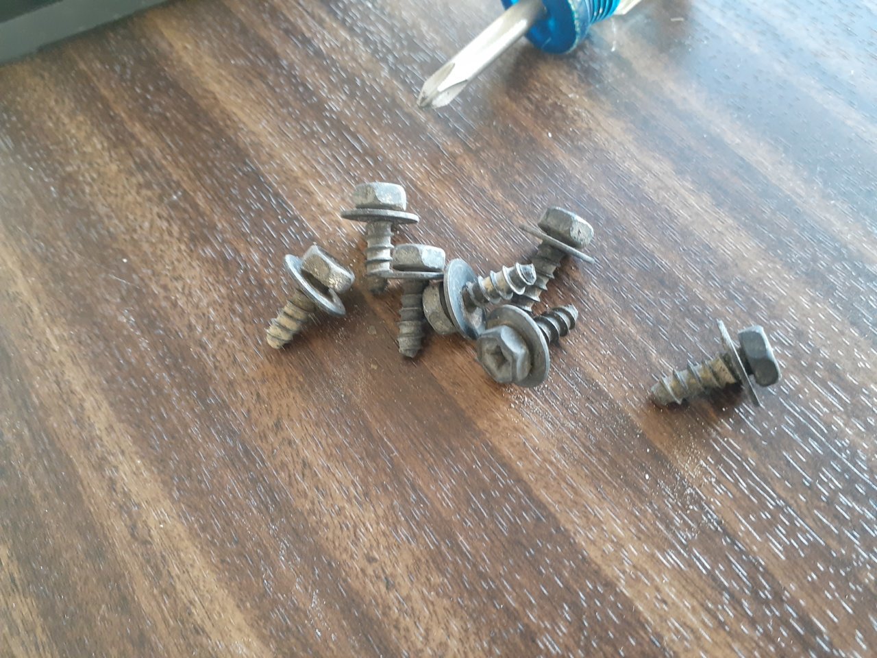 screws.jpg