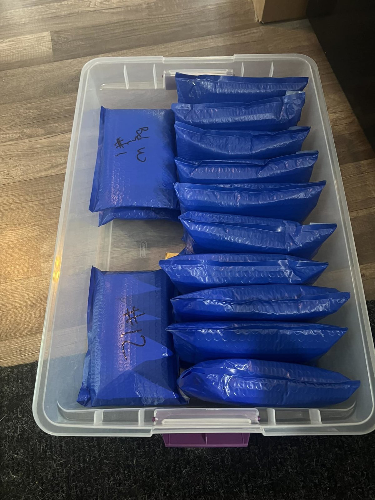 SD Packages.jpg