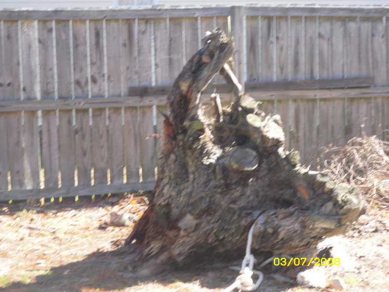 SDC10241.jpg