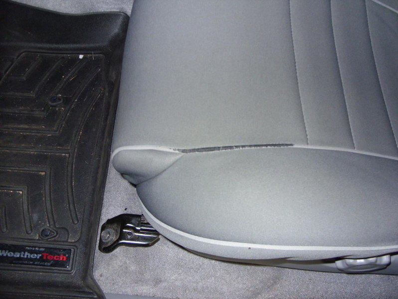 SDC10294.jpg