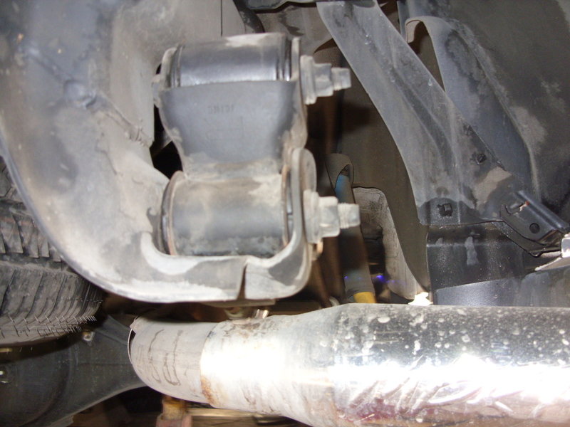 SDC10319.jpg