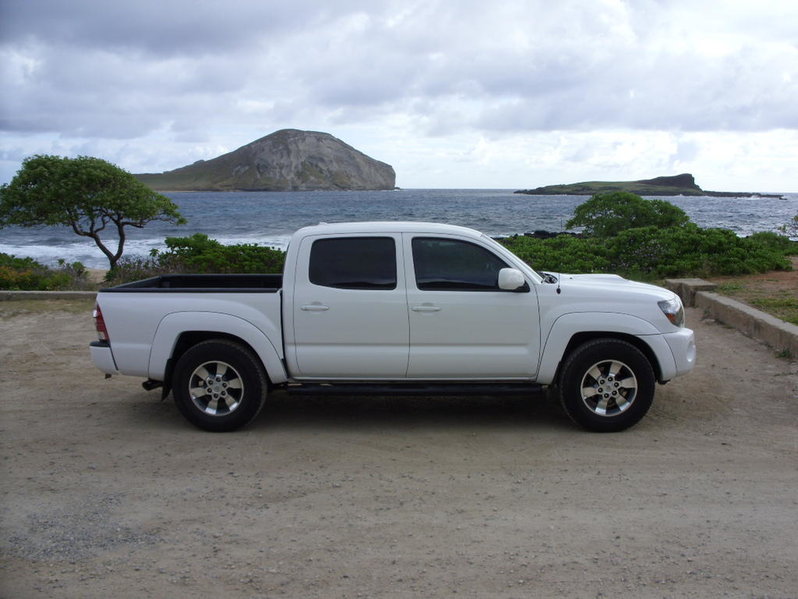 SDC10334.jpg