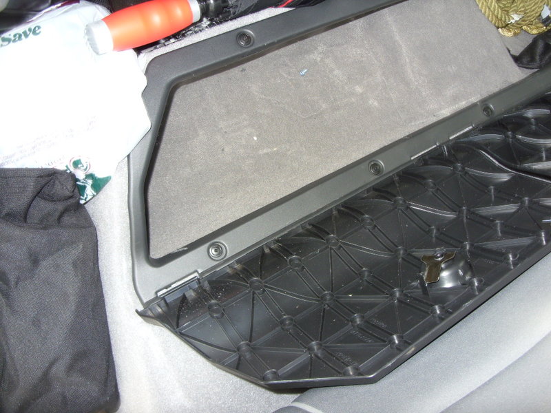 SDC10343.jpg