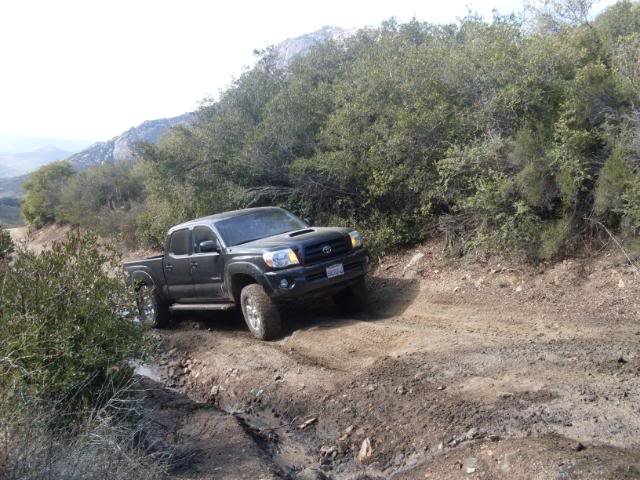 SDC10364_7f637e7cf8ababea7995af5104bff36a12965b86.jpg