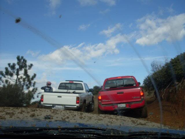 SDC10387_106d20541b9608c36d5c31183dca36dbda1fa062.jpg
