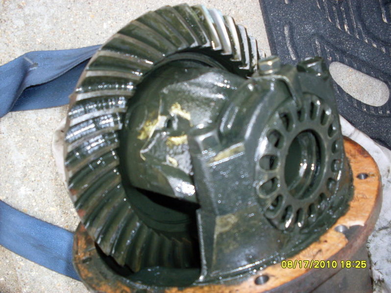 SDC10431.jpg