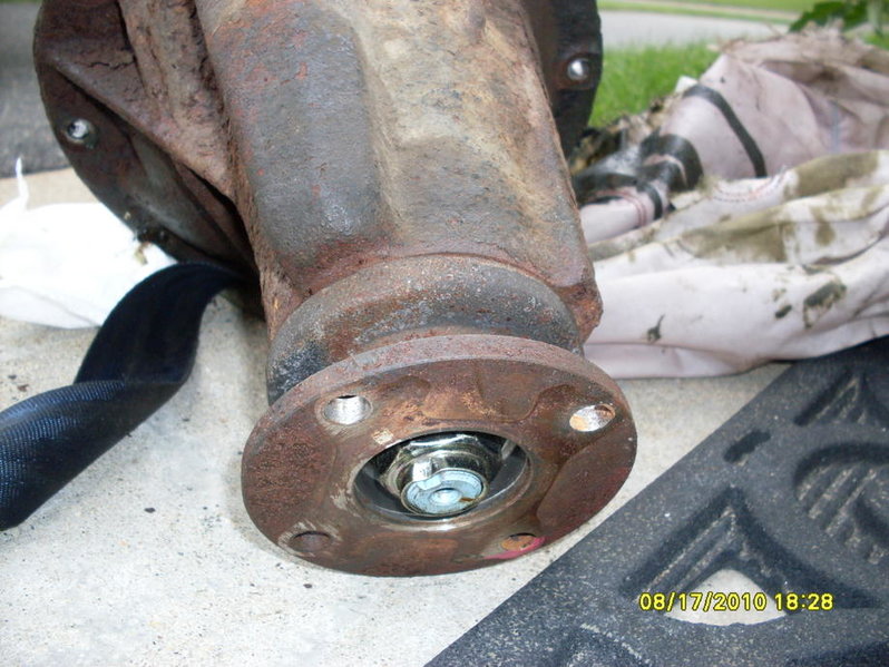 SDC10436.jpg
