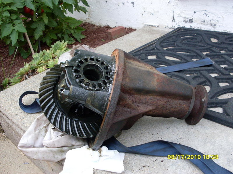 SDC10437.jpg