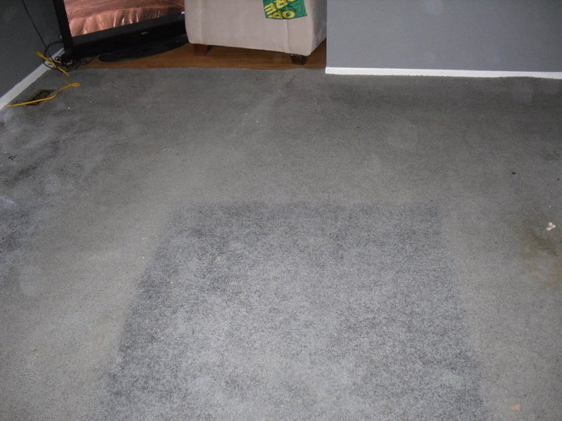SDC10562.jpg