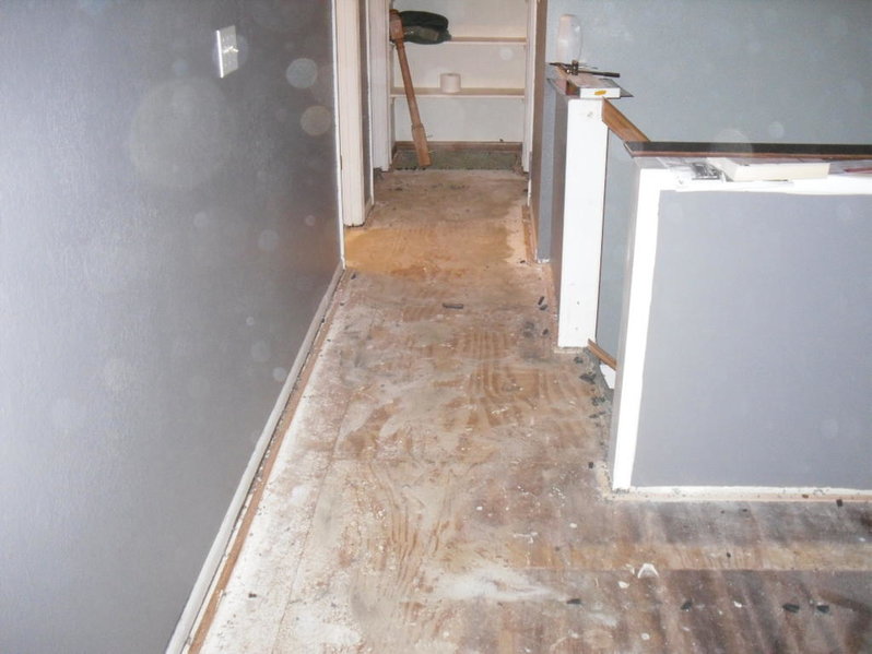SDC10565.jpg