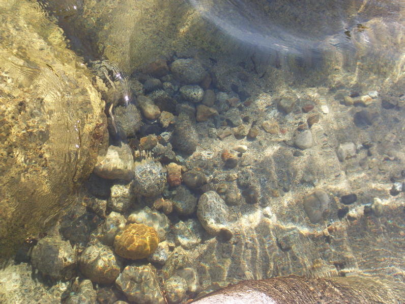 SDC10840.jpg