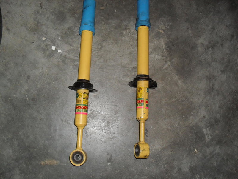 SDC11362.jpg