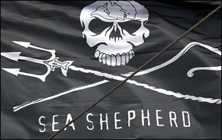 sea-shepherd_8f9fa2e096367075c152b046b07f7685b5683a72.jpg